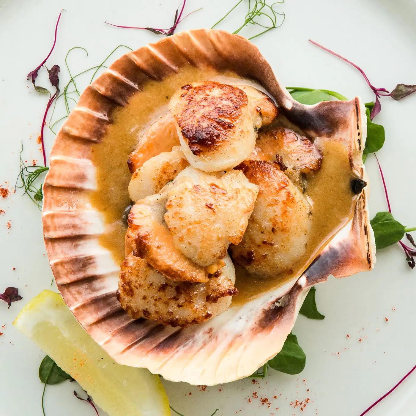 Pickwick Inn Padstow Delicious Seafood